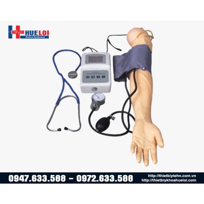 Mô hình đo huyết áp và tiêm truyền tĩnh mạch